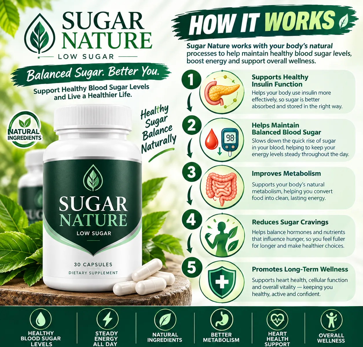 How Sugar Nature works: insulin function, balanced blood sugar, metabolism, cravings and long-term wellness